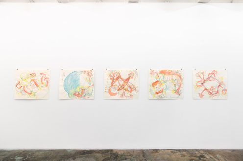 Andrea Éva Győri - Installation view, west wall. Photo credit Sabrina Slavin.