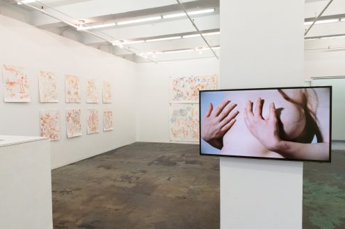 Andrea Éva Győri - Installation view, south/east wall. Photo credit Sabrina Slavin.